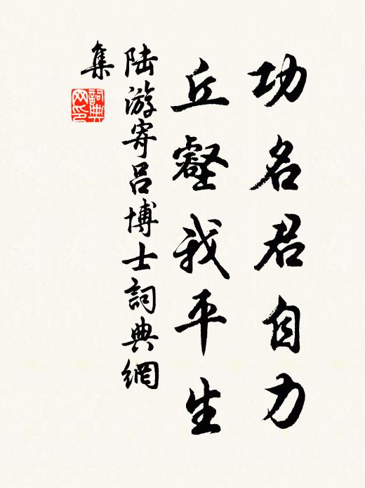 陆游功名君自力，丘壑我平生书法作品欣赏