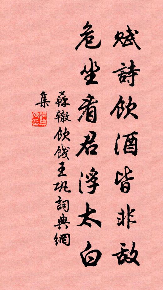 苏辙赋诗饮酒皆非敌，危坐看君浮太白书法作品欣赏