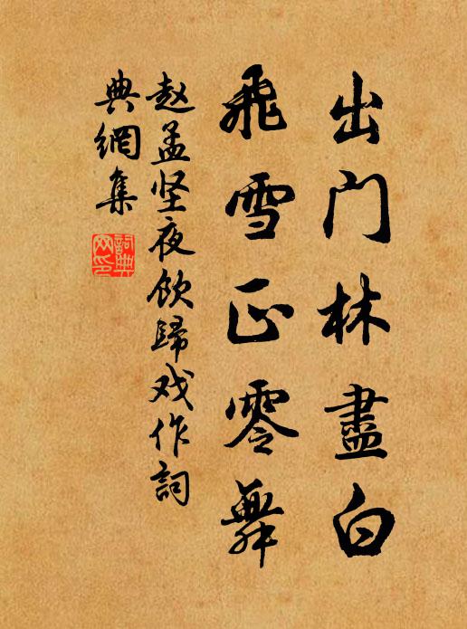 赵孟坚出门林尽白，飞雪正零舞书法作品欣赏