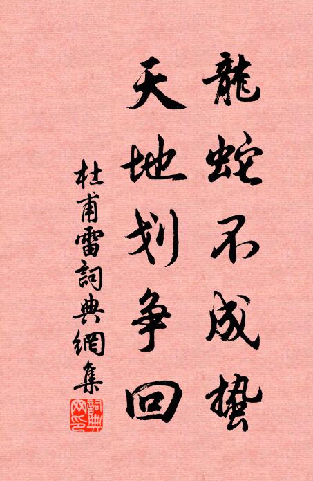 杜甫龙蛇不成蛰，天地划争回书法作品欣赏