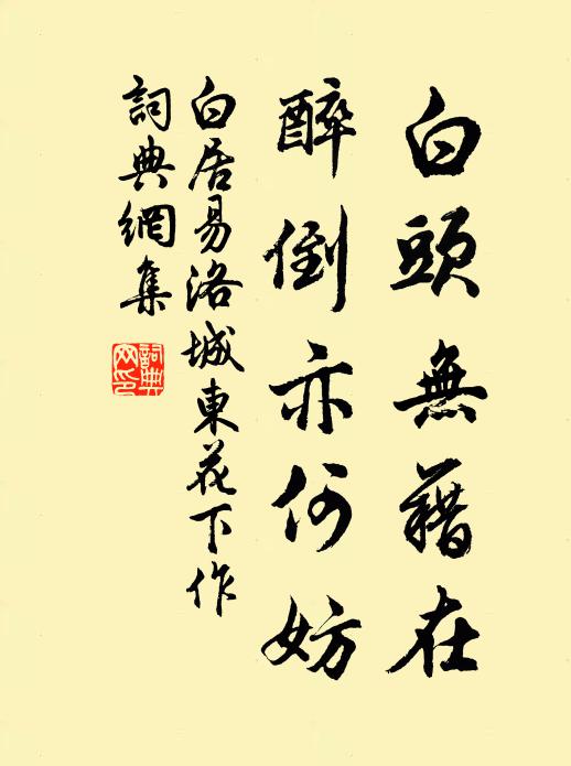 白居易白头无藉在，醉倒亦何妨书法作品欣赏