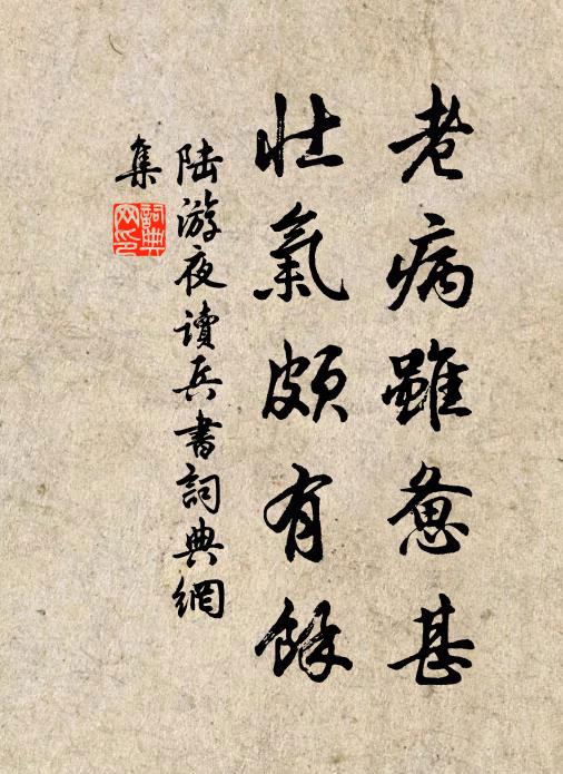 陆游老病虽惫甚，壮气颇有余书法作品欣赏