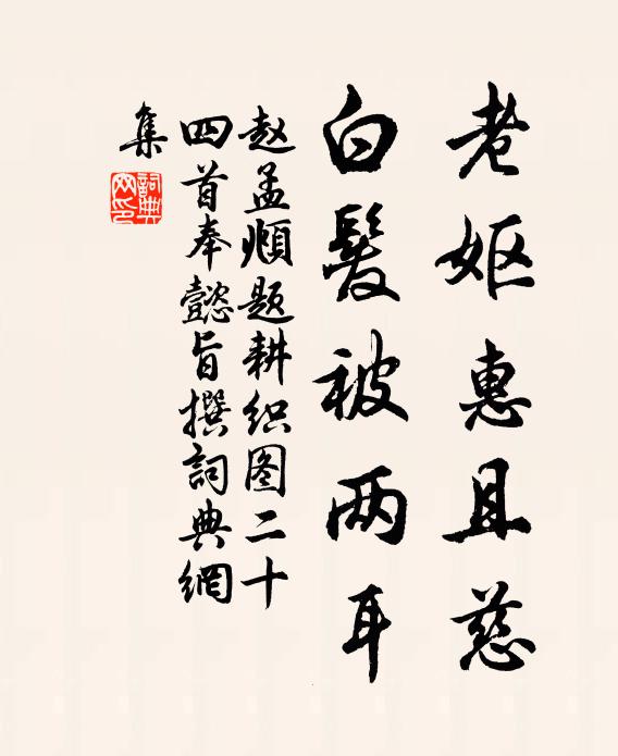 赵孟頫老妪惠且慈，白发被两耳书法作品欣赏