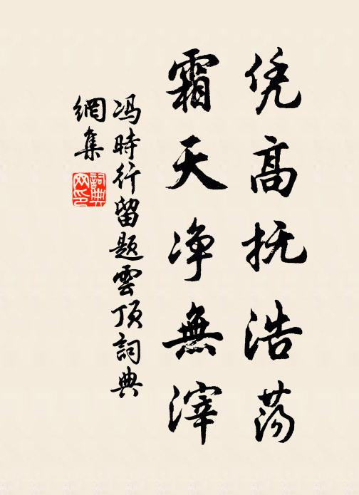 冯时行凭高抚浩荡，霜天净无滓书法作品欣赏