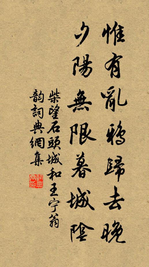 柴望惟有乱鸦归去晚，夕阳无限暮城阴书法作品欣赏