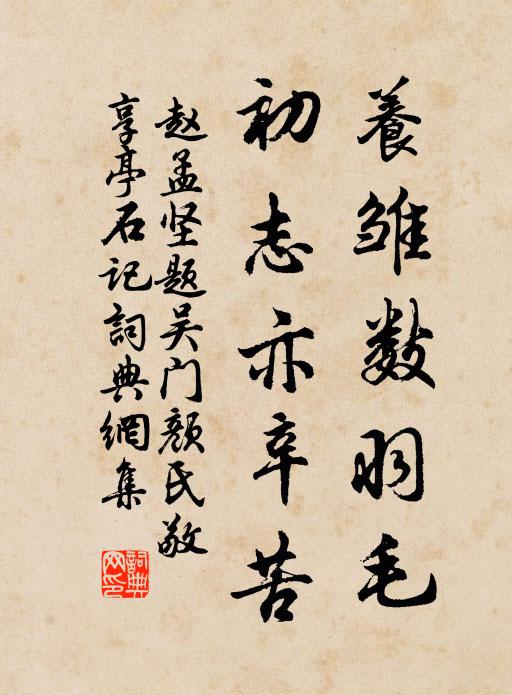 赵孟坚养雏数羽毛，初志亦辛苦书法作品欣赏