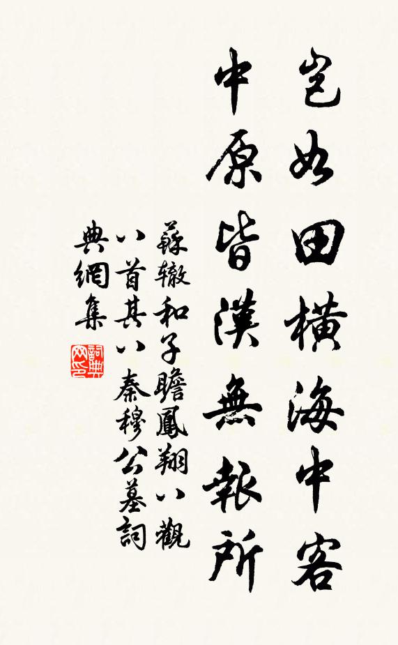 苏辙岂如田横海中客，中原皆汉无报所书法作品欣赏