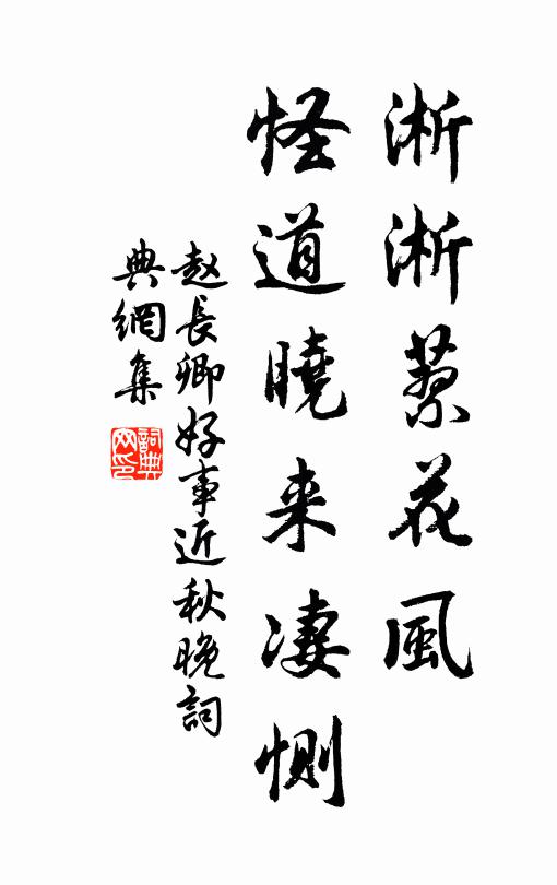 赵长卿淅淅蓼花风，怪道晓来凄恻书法作品欣赏