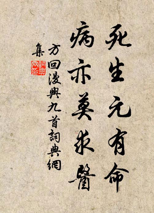 方回死生元有命，病亦莫求医书法作品欣赏