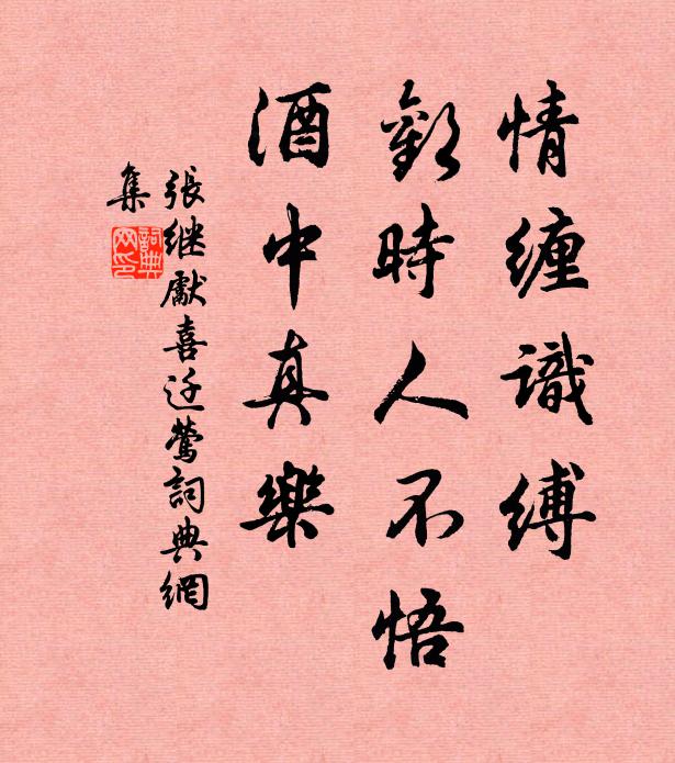 张继先情缠识缚，欢时人不悟，酒中真乐书法作品欣赏