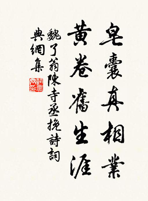 魏了翁皂囊真相业，黄卷旧生涯书法作品欣赏