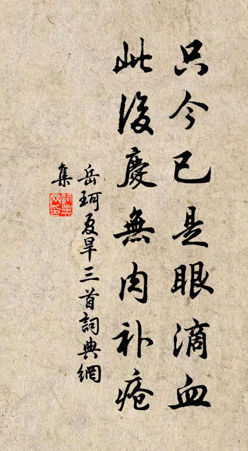 岳珂只今已是眼滴血，此后庆无肉补疮书法作品欣赏