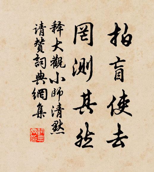 释大观拍盲使去，罔测其然书法作品欣赏