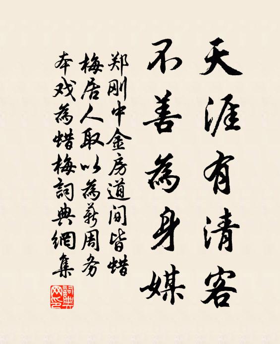 郑刚中天涯有清客，不善为身媒书法作品欣赏
