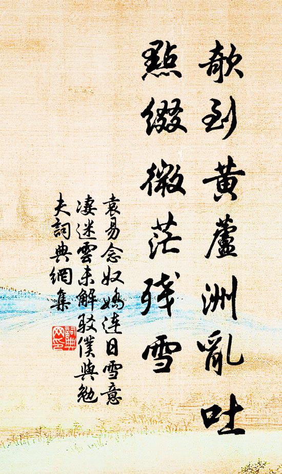袁易欹到黄芦洲乱吐，点缀微茫残雪书法作品欣赏