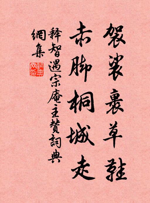 释智遇袈裟裹草鞋，赤脚桐城走书法作品欣赏