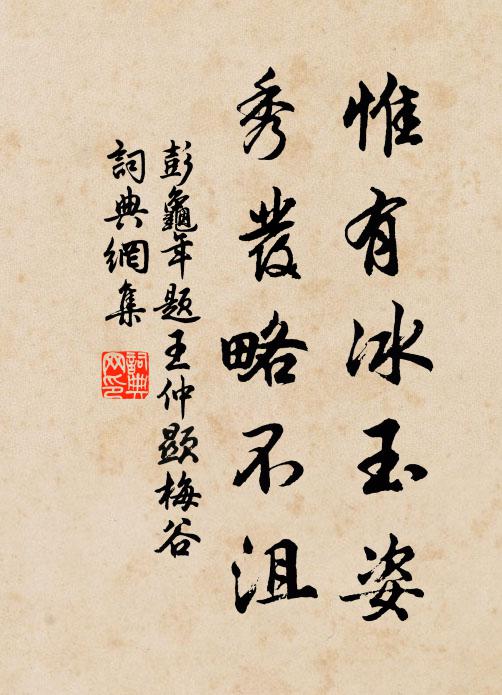 彭龟年惟有冰玉姿，秀发略不沮书法作品欣赏