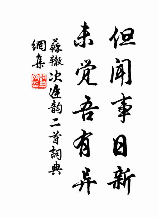 苏辙但闻事日新，未觉吾有异书法作品欣赏