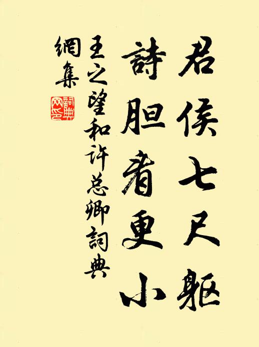 王之望君侯七尺躯，诗胆看更小书法作品欣赏