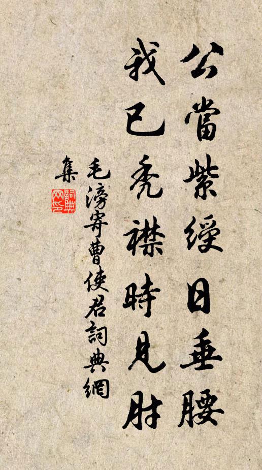 毛滂公当紫绶日垂腰，我已秃襟时见肘书法作品欣赏