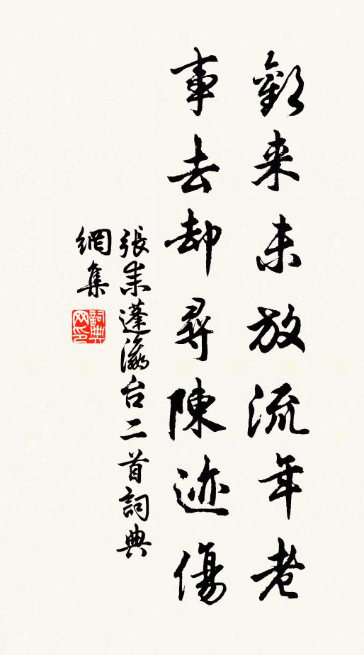 张耒欢来未放流年老，事去却寻陈迹伤书法作品欣赏