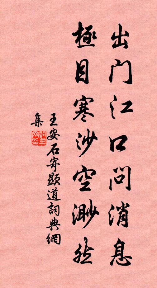 王安石出门江口问消息，极目寒沙空渺然书法作品欣赏