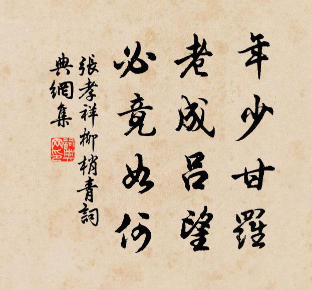 张孝祥年少甘罗，老成吕望，必竟如何书法作品欣赏