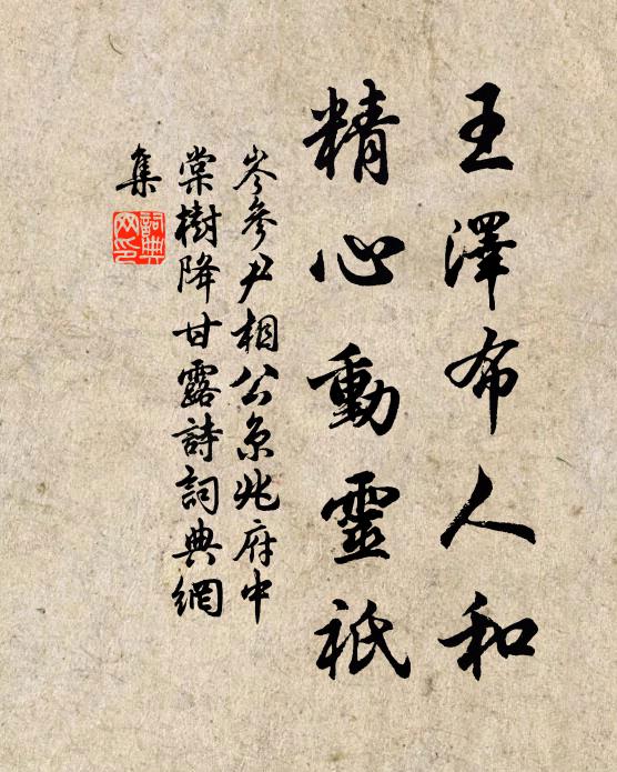 岑参王泽布人和，精心动灵祇书法作品欣赏