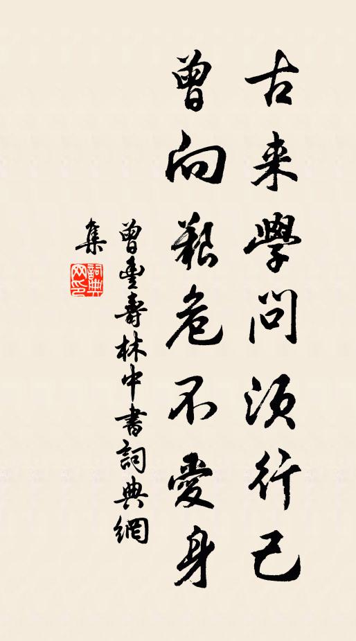 曾丰古来学问须行己，曾向艰危不爱身书法作品欣赏