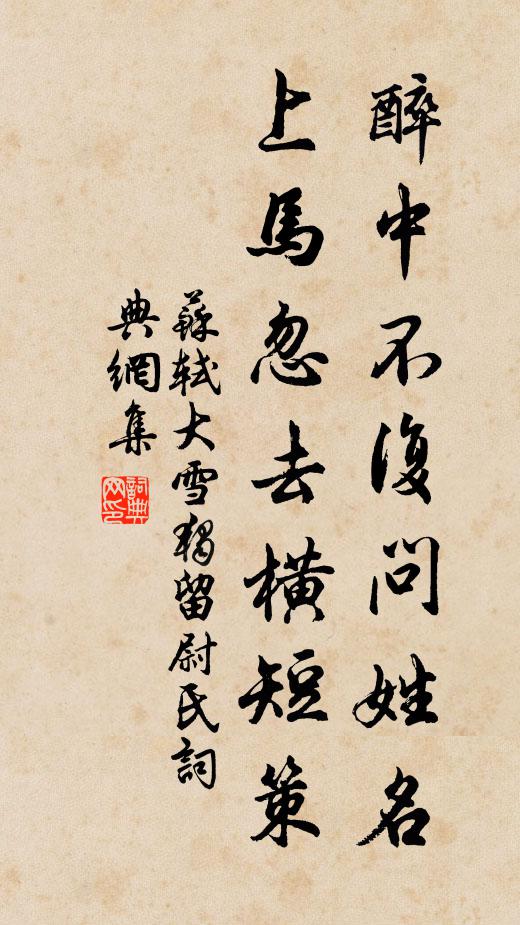 苏轼醉中不复问姓名，上马忽去横短策书法作品欣赏