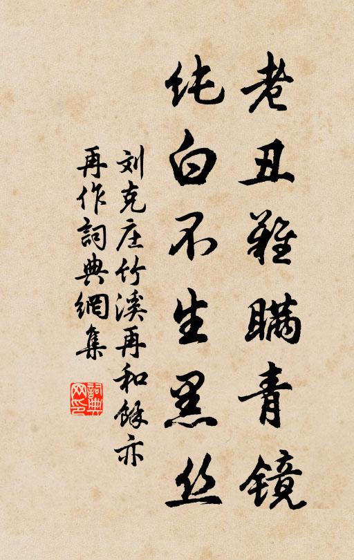 刘克庄老丑难瞒青镜，纯白不生黑丝书法作品欣赏