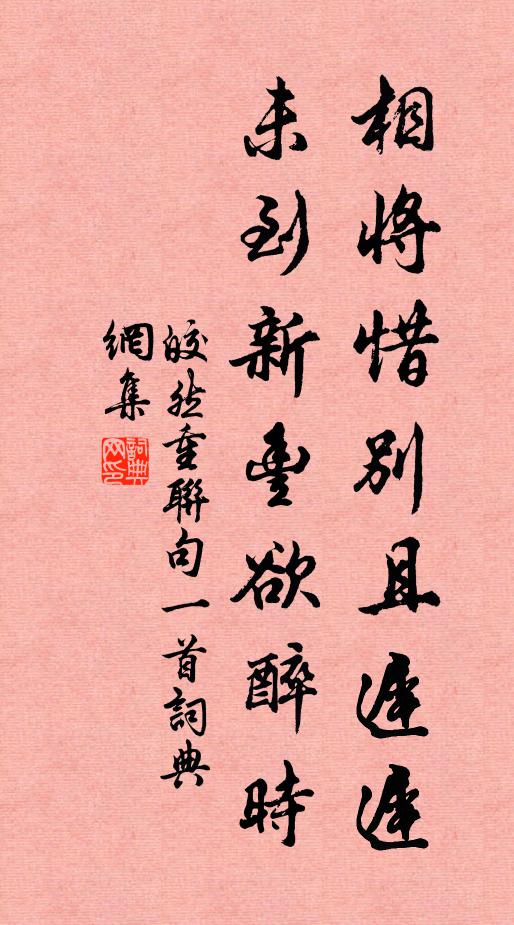 皎然相将惜别且迟迟，未到新丰欲醉时书法作品欣赏
