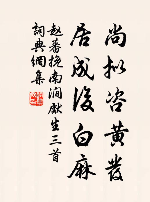 赵蕃尚拟咨黄发，居成后白麻书法作品欣赏