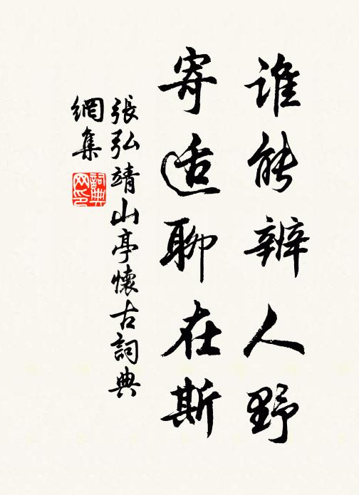 张弘靖谁能辨人野，寄适聊在斯书法作品欣赏