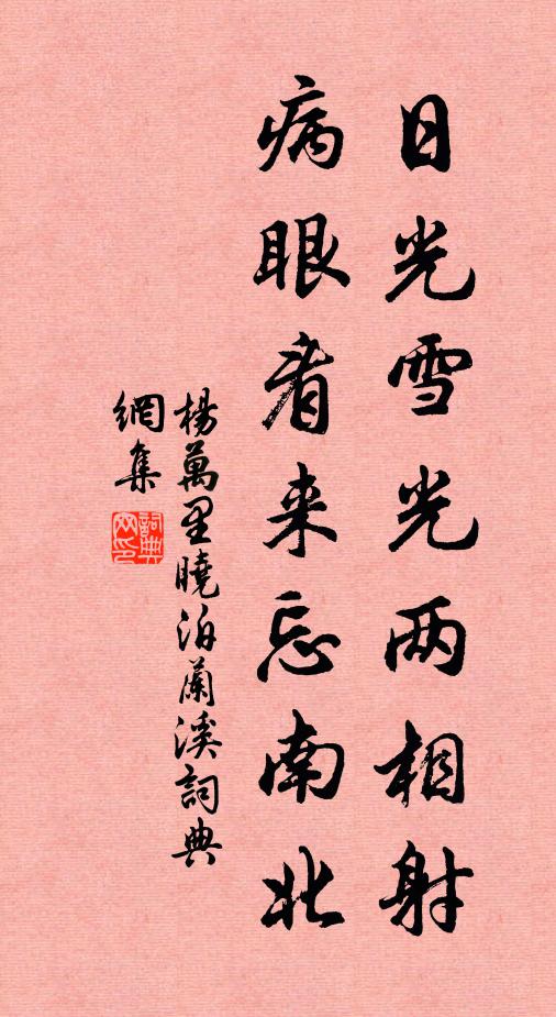 杨万里日光雪光两相射，病眼看来忘南北书法作品欣赏