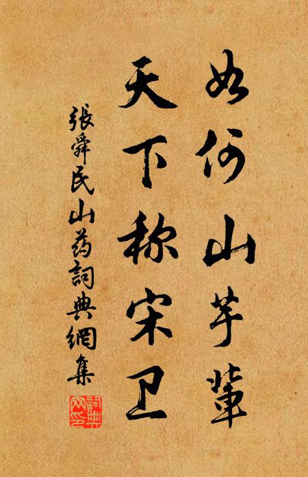 张舜民如何山芋辈，天下称宋卫书法作品欣赏