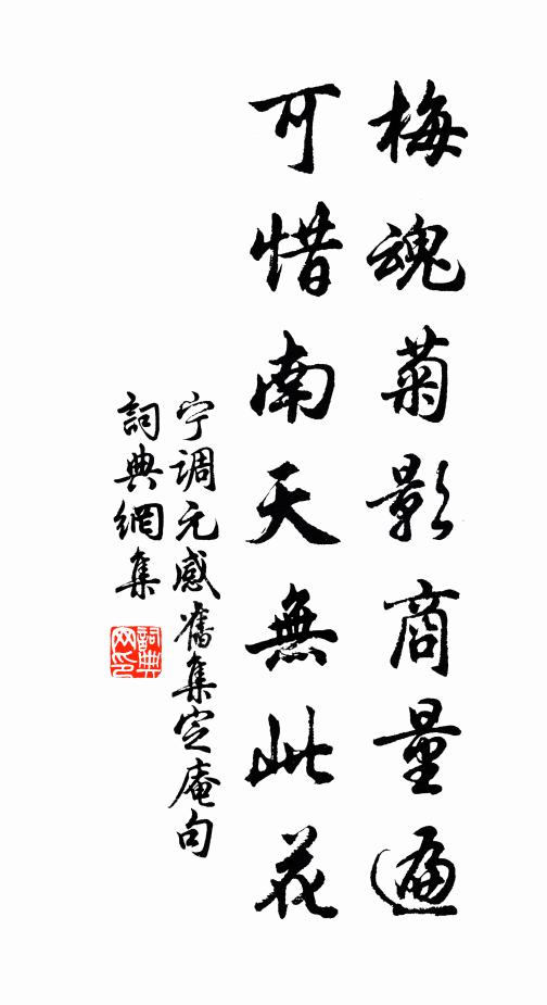 宁调元梅魂菊影商量遍，可惜南天无此花书法作品欣赏