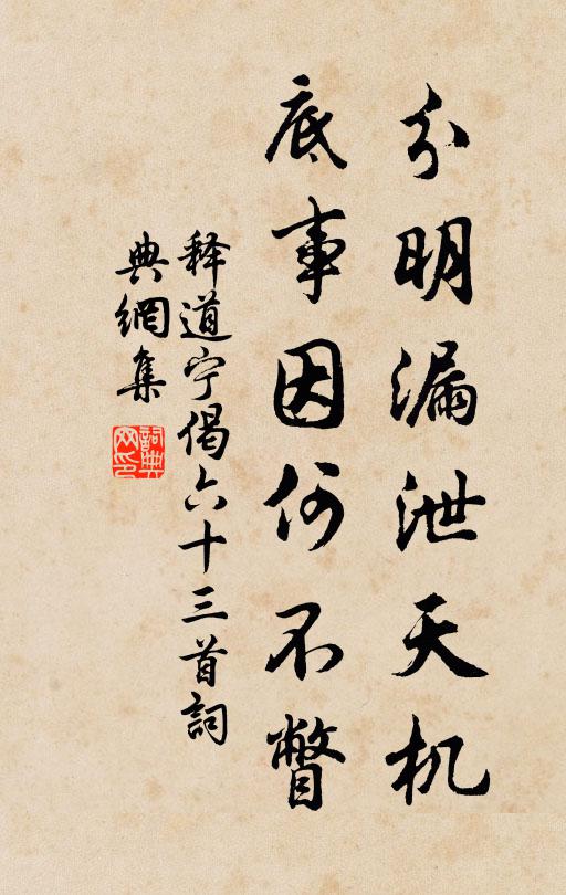 释道宁分明漏泄天机，底事因何不瞥书法作品欣赏