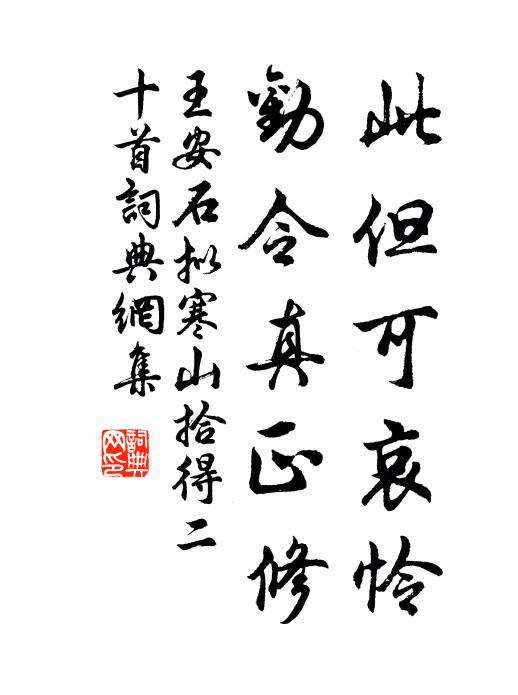 王安石此但可哀怜，劝令真正修书法作品欣赏