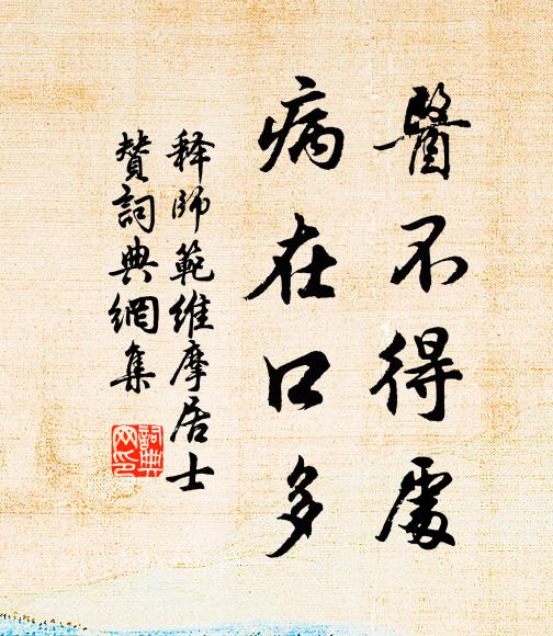 释师范医不得处，病在口多书法作品欣赏
