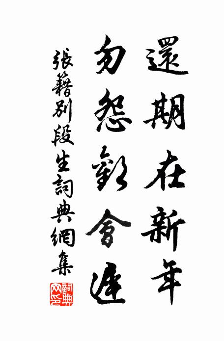 张籍还期在新年，勿怨欢会迟书法作品欣赏