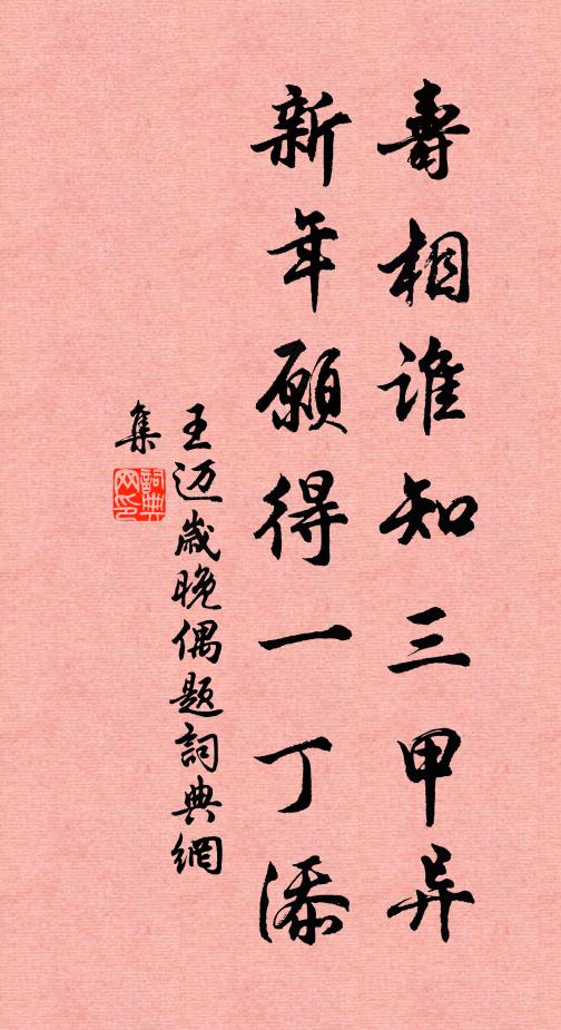 王迈寿相谁知三甲异，新年愿得一丁添书法作品欣赏