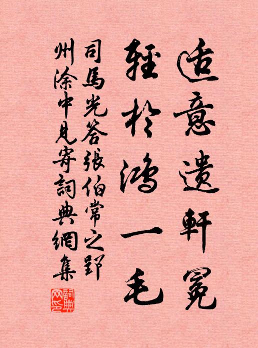 司马光适意遗轩冕，轻於鸿一毛书法作品欣赏