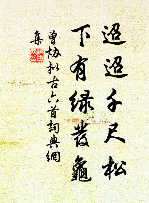 曾协迢迢千尺松，下有绿发龟书法作品欣赏