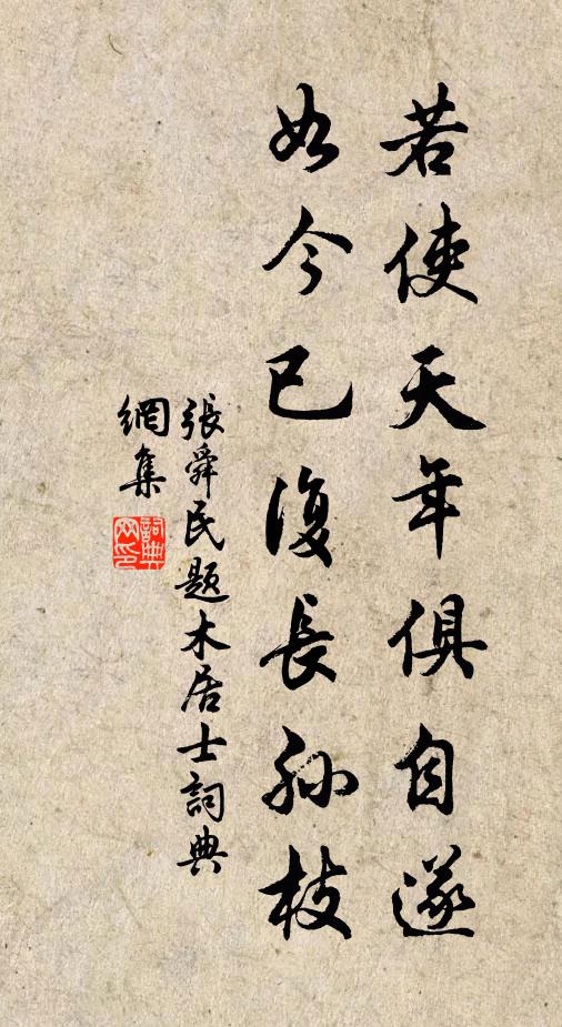 张舜民若使天年俱自遂，如今已复长孙枝书法作品欣赏
