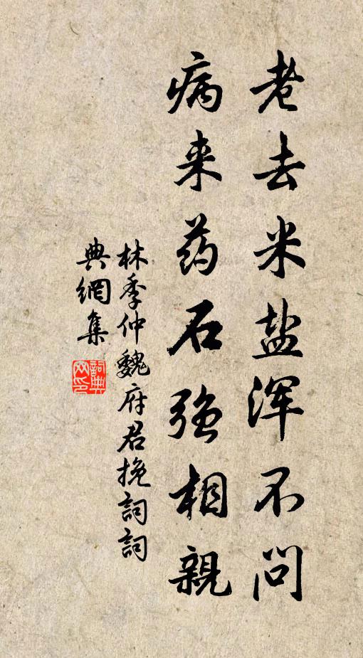 林季仲老去米盐浑不问，病来药石强相亲书法作品欣赏