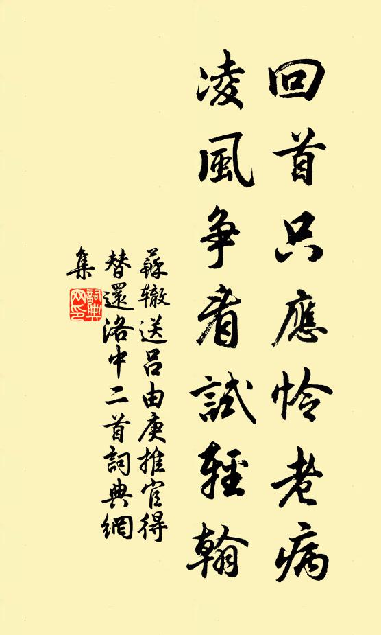苏辙回首只应怜老病，凌风争看试轻翰书法作品欣赏