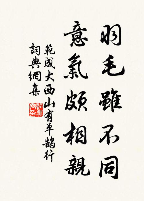 范成大羽毛虽不同，意气颇相亲书法作品欣赏
