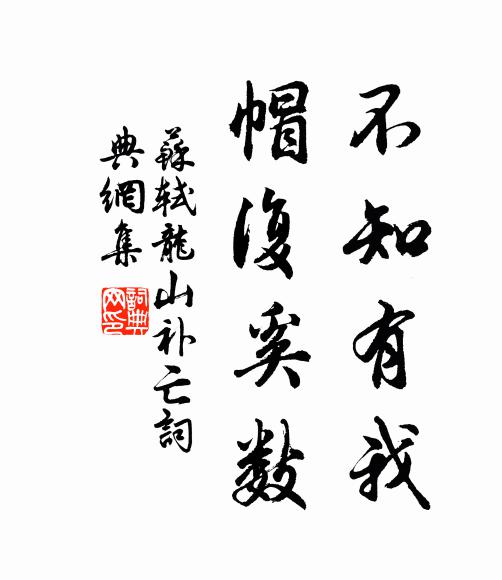 苏轼不知有我，帽复奚数书法作品欣赏