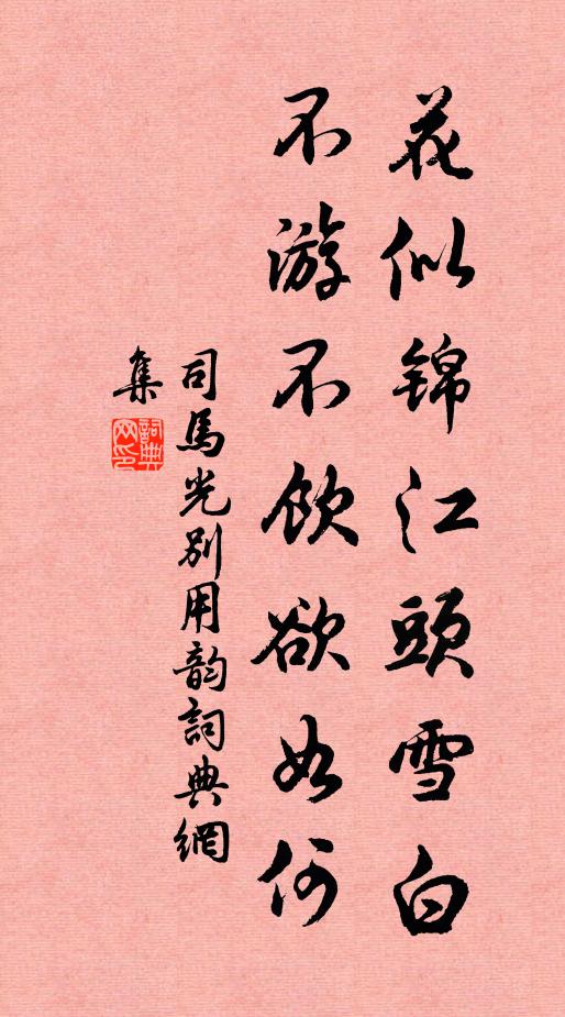 司马光花似锦江头雪白，不游不饮欲如何书法作品欣赏